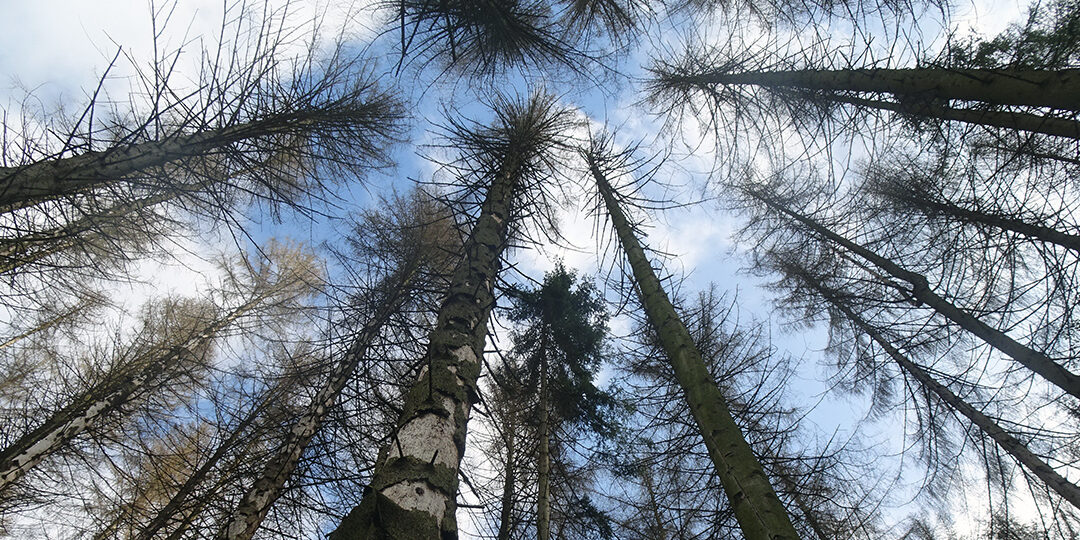 crowdfunding_aktuelles