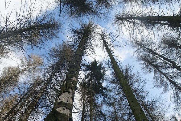 crowdfunding_aktuelles