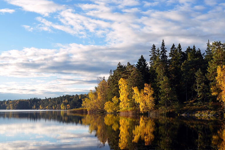 visionssuche Visionssuche Schweden