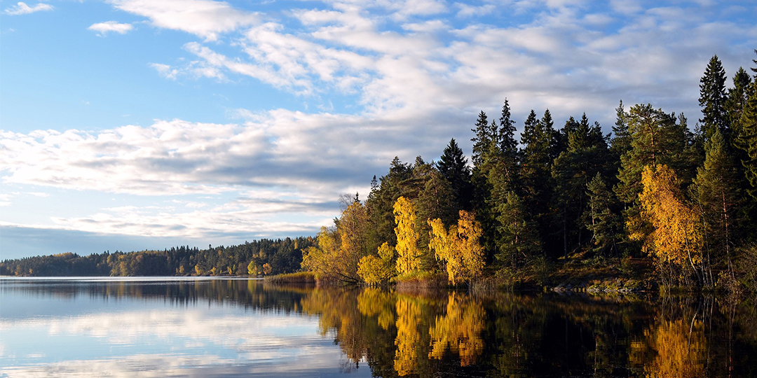 visionssuche Visionssuche Schweden