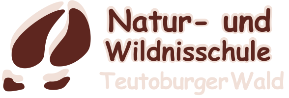 Natur- und Wildnisschule Teutoburger Wald