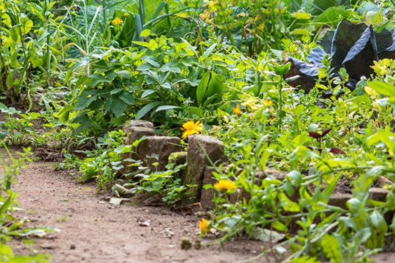 selbstversorger-training_header