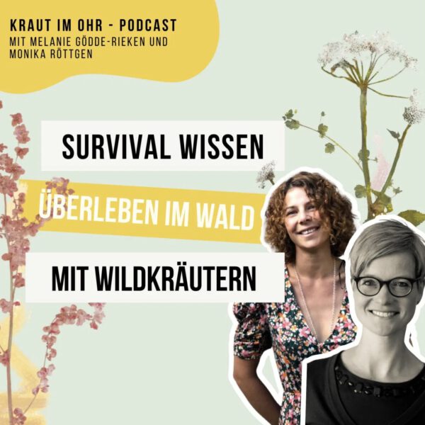 kraut_im_ohr_podcast