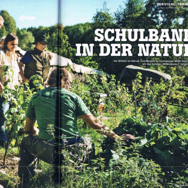 Schulbank_Natur