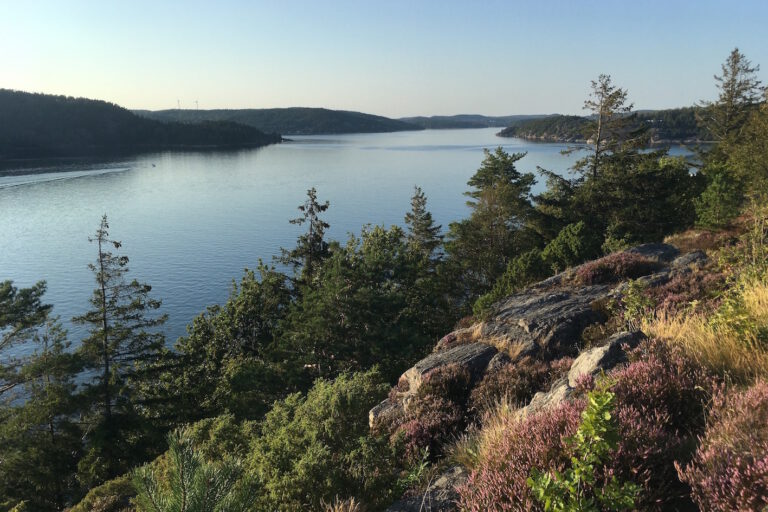 jugend_visionssuche_schweden