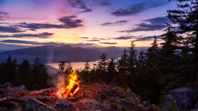 shutterstock_1756644848